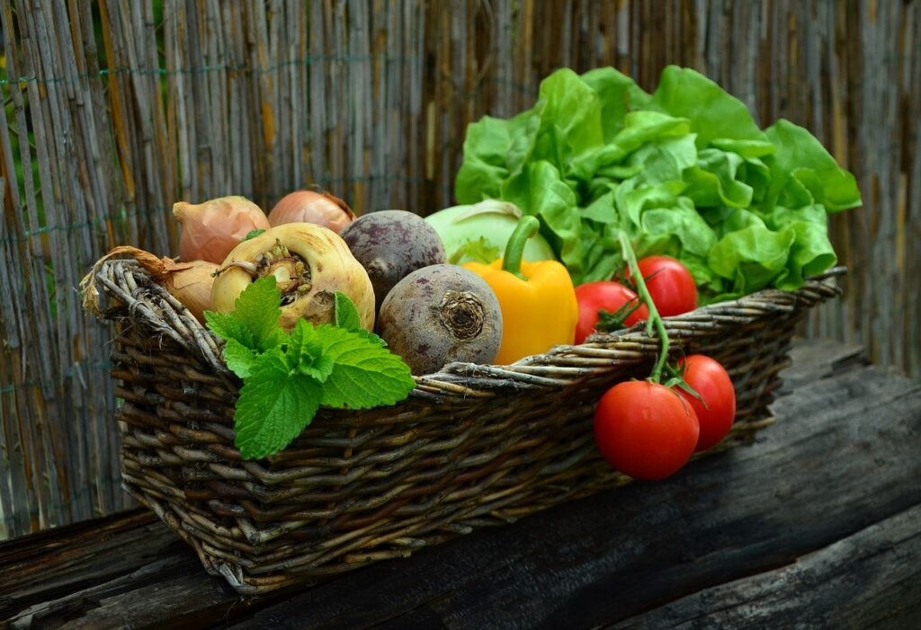 Gemüse Korb Tomaten Paprika Zwiebeln Tomaten oder Paprika gesünder