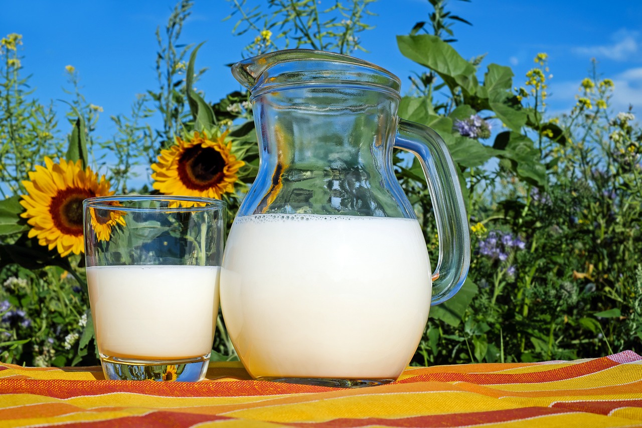 Milch Glas Krug Wie gesund ist Buttermilch Vor- und Nachteile