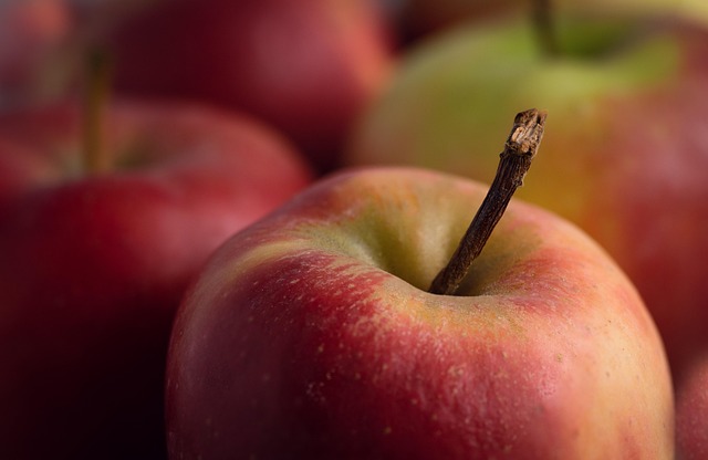 Apfel Ernährung labor-werte.de Sidebar